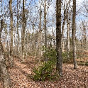 Photo #29 of 9609 Catharpin Road, Spotsylvania, VA 18.1 acres