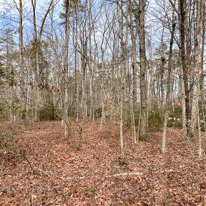 Photo #30 of 9609 Catharpin Road, Spotsylvania, VA 18.1 acres
