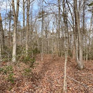 Photo #31 of 9609 Catharpin Road, Spotsylvania, VA 18.1 acres