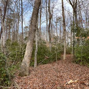 Photo #32 of 9609 Catharpin Road, Spotsylvania, VA 18.1 acres