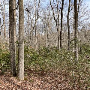 Photo #37 of 9609 Catharpin Road, Spotsylvania, VA 18.1 acres