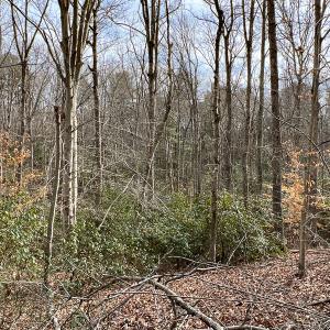 Photo #39 of 9609 Catharpin Road, Spotsylvania, VA 18.1 acres