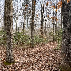 Photo #40 of 9609 Catharpin Road, Spotsylvania, VA 18.1 acres