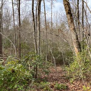 Photo #43 of 9609 Catharpin Road, Spotsylvania, VA 18.1 acres