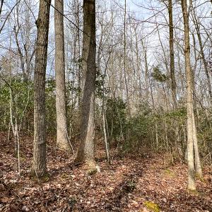 Photo #46 of 9609 Catharpin Road, Spotsylvania, VA 18.1 acres