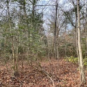 Photo #49 of 9609 Catharpin Road, Spotsylvania, VA 18.1 acres