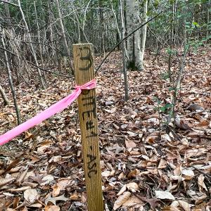 Photo #51 of 9609 Catharpin Road, Spotsylvania, VA 18.1 acres