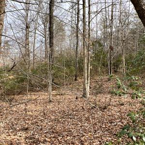 Photo #53 of 9609 Catharpin Road, Spotsylvania, VA 18.1 acres
