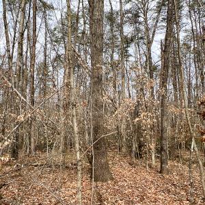 Photo #55 of 9609 Catharpin Road, Spotsylvania, VA 18.1 acres