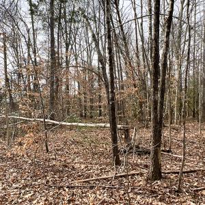 Photo #56 of 9609 Catharpin Road, Spotsylvania, VA 18.1 acres
