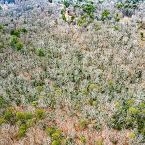 Photo #59 of 9609 Catharpin Road, Spotsylvania, VA 18.1 acres