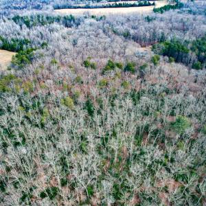 Photo #61 of 9609 Catharpin Road, Spotsylvania, VA 18.1 acres
