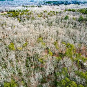 Photo #64 of 9609 Catharpin Road, Spotsylvania, VA 18.1 acres