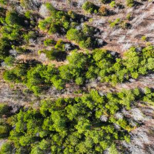 Photo #9 of Off Glendale Lane Lots 6, 6A, 7, 7A, Roxboro, NC 8.4 acres