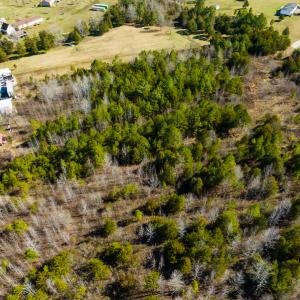 Photo #18 of Glendale Lane Lots 6, 6A, Roxboro, NC 4.7 acres