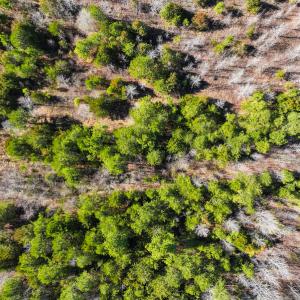 Photo #7 of Off Glendale Lane Lots 7 & 7A, Roxboro, NC 3.8 acres