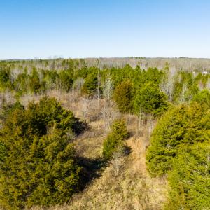 Photo #12 of Off Glendale Lane Lots 7 & 7A, Roxboro, NC 3.8 acres