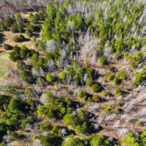 Photo #15 of Off Glendale Lane Lots 7 & 7A, Roxboro, NC 3.8 acres