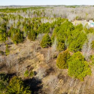 Photo #17 of Off Glendale Lane Lots 7 & 7A, Roxboro, NC 3.8 acres