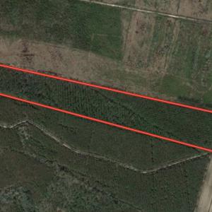 Photo #1 of SOLD property in Off Adams Creek Rd, Havelock, NC 43.1 acres