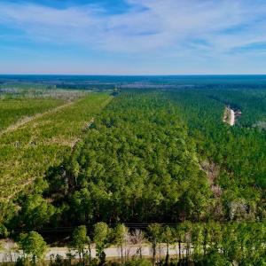 Photo #2 of SOLD property in Off Adams Creek Rd, Havelock, NC 43.1 acres