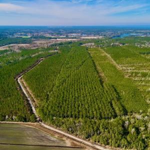 Photo #11 of SOLD property in Off Adams Creek Rd, Havelock, NC 43.1 acres