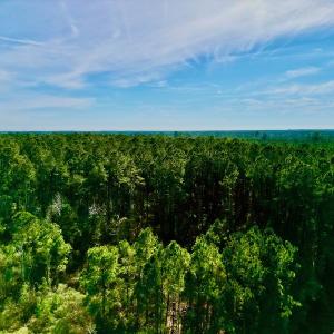 Photo #12 of SOLD property in Off Adams Creek Rd, Havelock, NC 43.1 acres