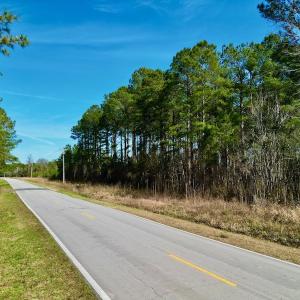 Photo #17 of SOLD property in Off Adams Creek Rd, Havelock, NC 43.1 acres