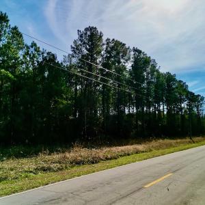 Photo #19 of SOLD property in Off Adams Creek Rd, Havelock, NC 43.1 acres