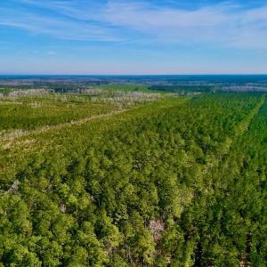 Photo #3 of SOLD property in Off Adams Creek Rd, Havelock, NC 43.1 acres