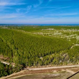 Photo #5 of SOLD property in Off Adams Creek Rd, Havelock, NC 43.1 acres