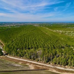 Photo #6 of SOLD property in Off Adams Creek Rd, Havelock, NC 43.1 acres