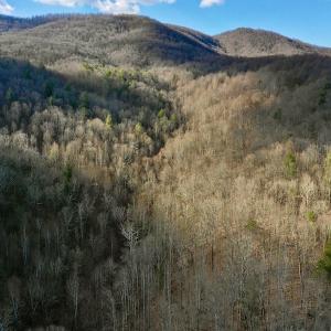 Photo #2 of Off Adventure Mountain Trail , Montvale, VA 216.9 acres