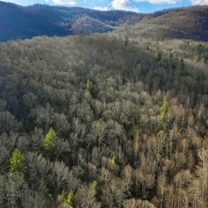 Photo #3 of Off Adventure Mountain Trail , Montvale, VA 216.9 acres