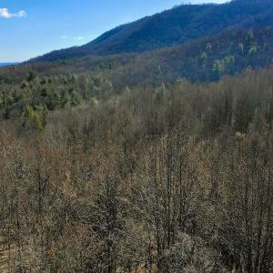 Photo #4 of Off Adventure Mountain Trail , Montvale, VA 216.9 acres