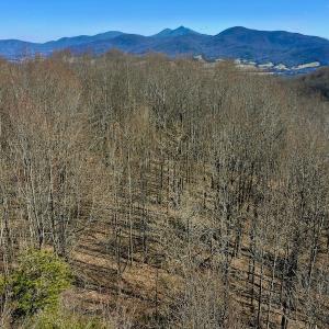 Photo #6 of Off Adventure Mountain Trail , Montvale, VA 216.9 acres