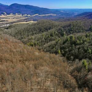 Photo #7 of Off Adventure Mountain Trail , Montvale, VA 216.9 acres