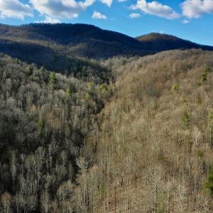 Photo #8 of Off Adventure Mountain Trail , Montvale, VA 216.9 acres