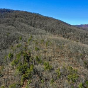 Photo #11 of Off Adventure Mountain Trail , Montvale, VA 216.9 acres