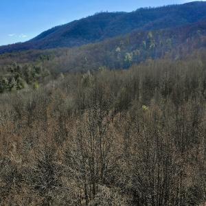 Photo #12 of Off Adventure Mountain Trail , Montvale, VA 216.9 acres