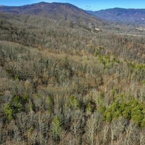 Photo #13 of Off Adventure Mountain Trail , Montvale, VA 216.9 acres