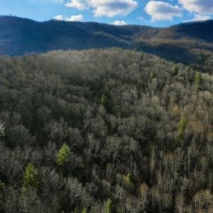 Photo #14 of Off Adventure Mountain Trail , Montvale, VA 216.9 acres