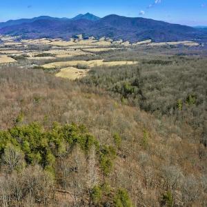 Photo #16 of Off Adventure Mountain Trail , Montvale, VA 216.9 acres