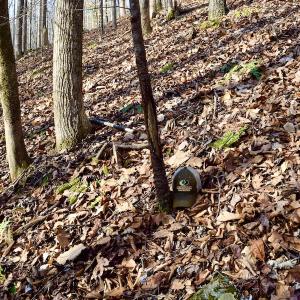 Photo #19 of Off Adventure Mountain Trail , Montvale, VA 216.9 acres
