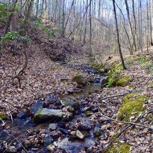 Photo #20 of Off Adventure Mountain Trail , Montvale, VA 216.9 acres