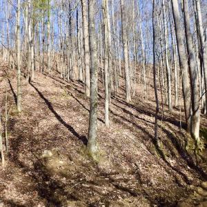 Photo #21 of Off Adventure Mountain Trail , Montvale, VA 216.9 acres
