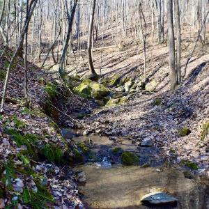 Photo #22 of Off Adventure Mountain Trail , Montvale, VA 216.9 acres