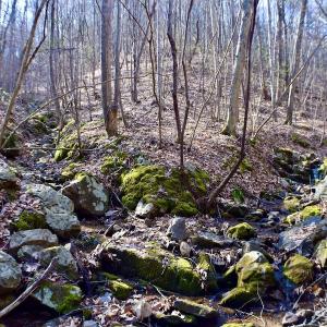 Photo #23 of Off Adventure Mountain Trail , Montvale, VA 216.9 acres