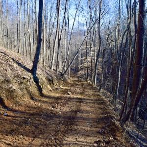 Photo #24 of Off Adventure Mountain Trail , Montvale, VA 216.9 acres