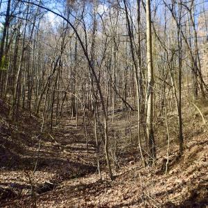 Photo #25 of Off Adventure Mountain Trail , Montvale, VA 216.9 acres